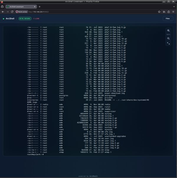 Presentation mode — terminal live in a browser