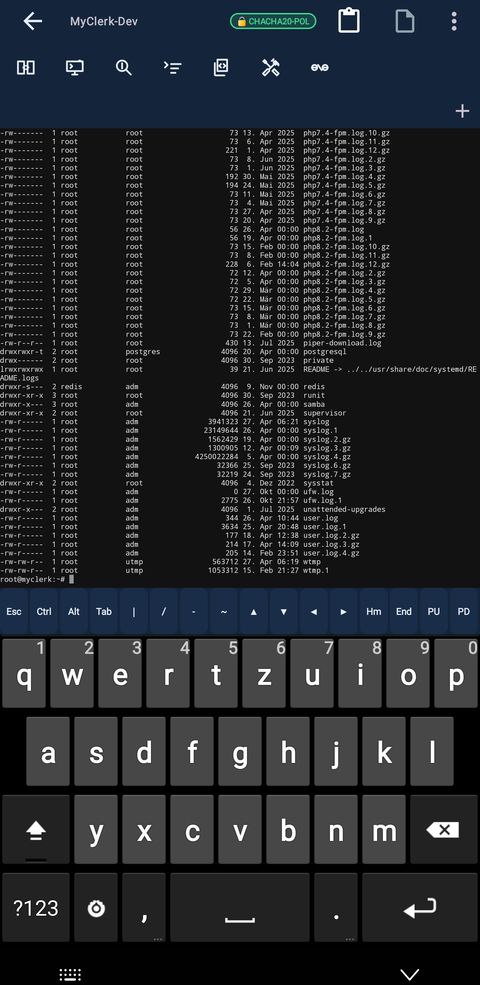 Multi-tab terminal